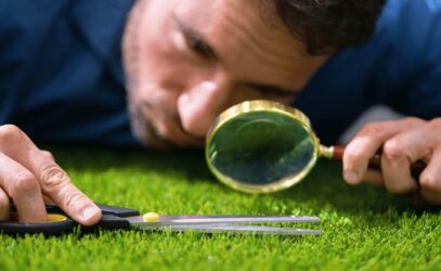 the neurobiological basis of obsessive-compulsive disorder